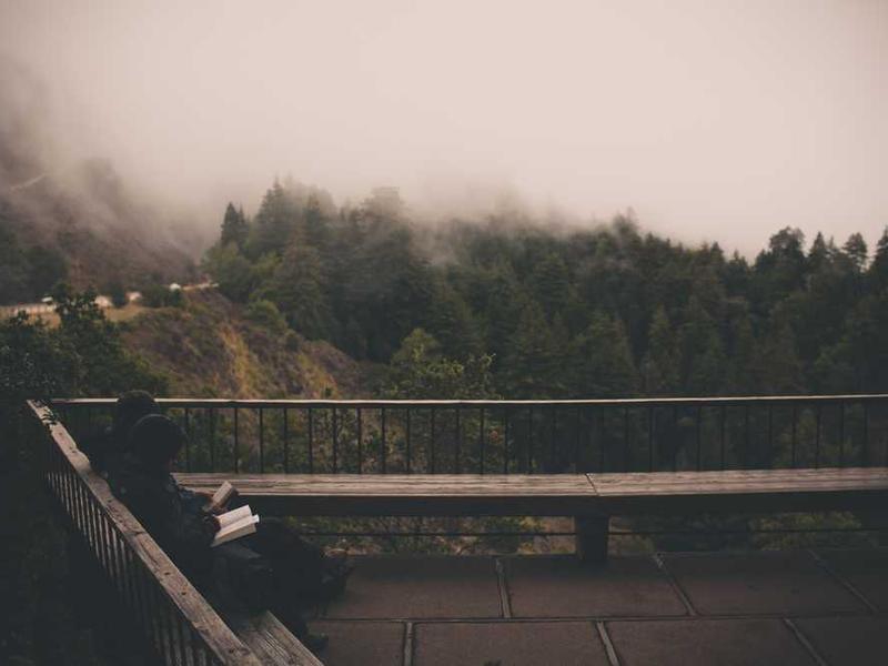 New Farm-to-Table Restaurant Opens in Inman Square